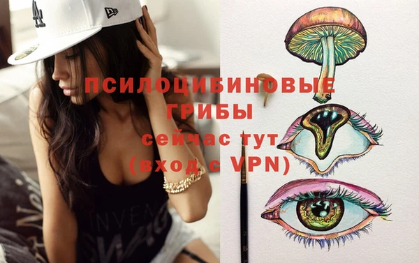 мескалин Медногорск