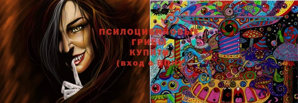 мдпв Мегион