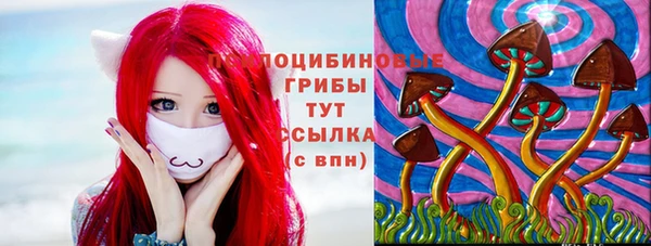 мдпв Мегион