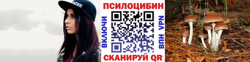 Псилоцибиновые грибы прущие грибы  ОМГ ОМГ сайт  Талдом  наркота 