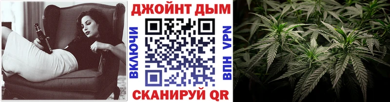 закладка Талдом Марихуана сатива